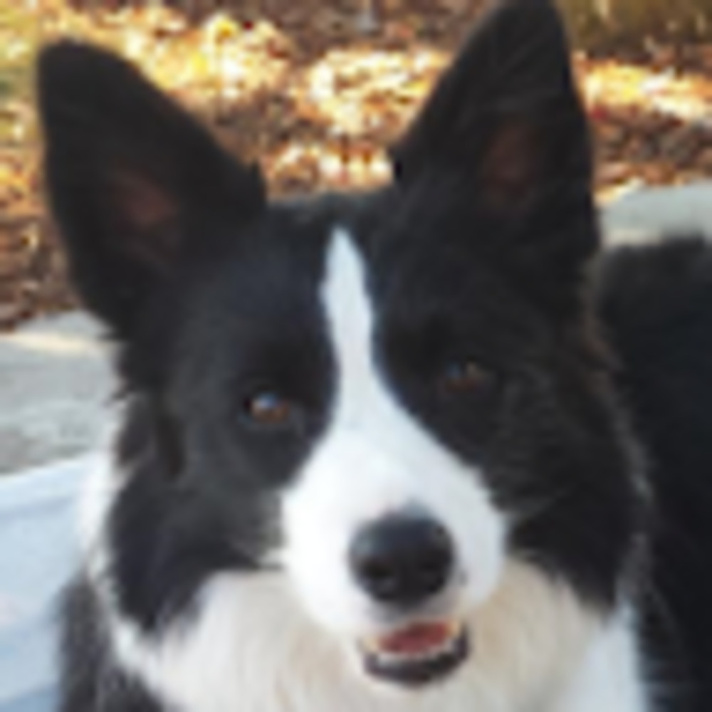 Meet your Posher, Ruby